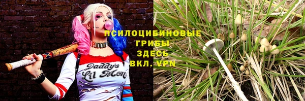 mdpv Бугульма