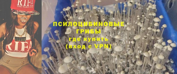 mdpv Бугульма