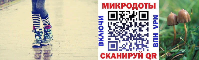 Псилоцибиновые грибы Magic Shrooms  Павлово 